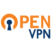 openvpn